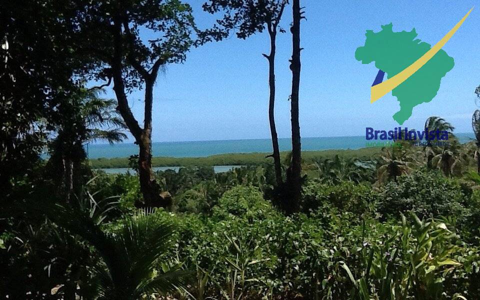 Sala-Conjunto - Foto 1