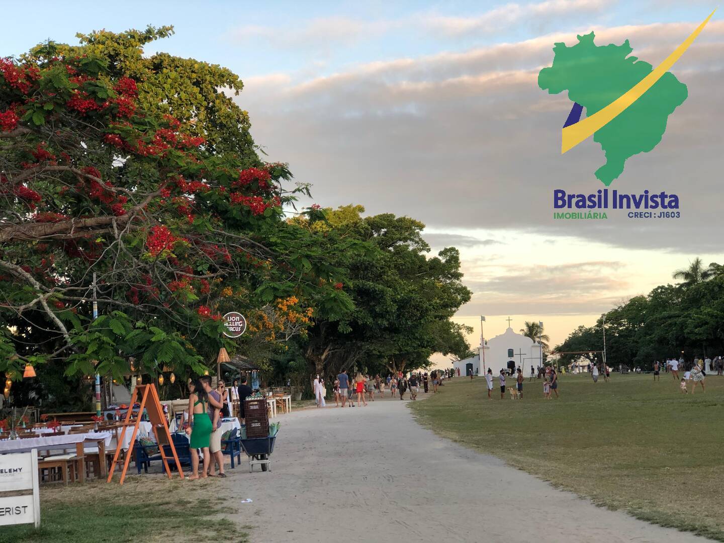 Terreno, 300 hectares - Foto 7