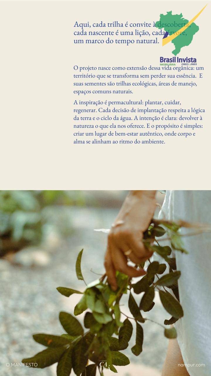 Terreno, 3119 m² - Foto 3