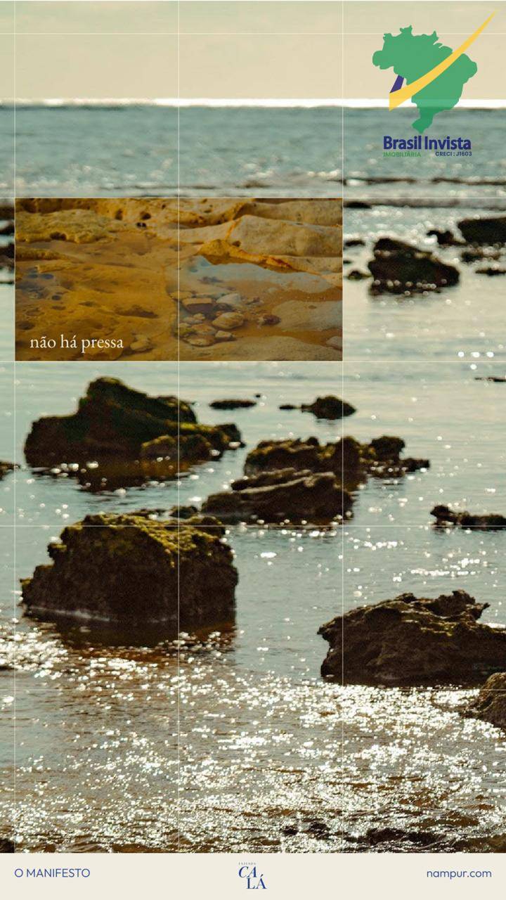 Terreno, 3119 m² - Foto 4