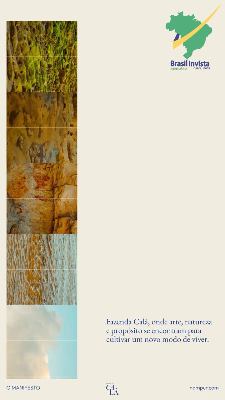 Terreno, 3119 m² - Foto 6