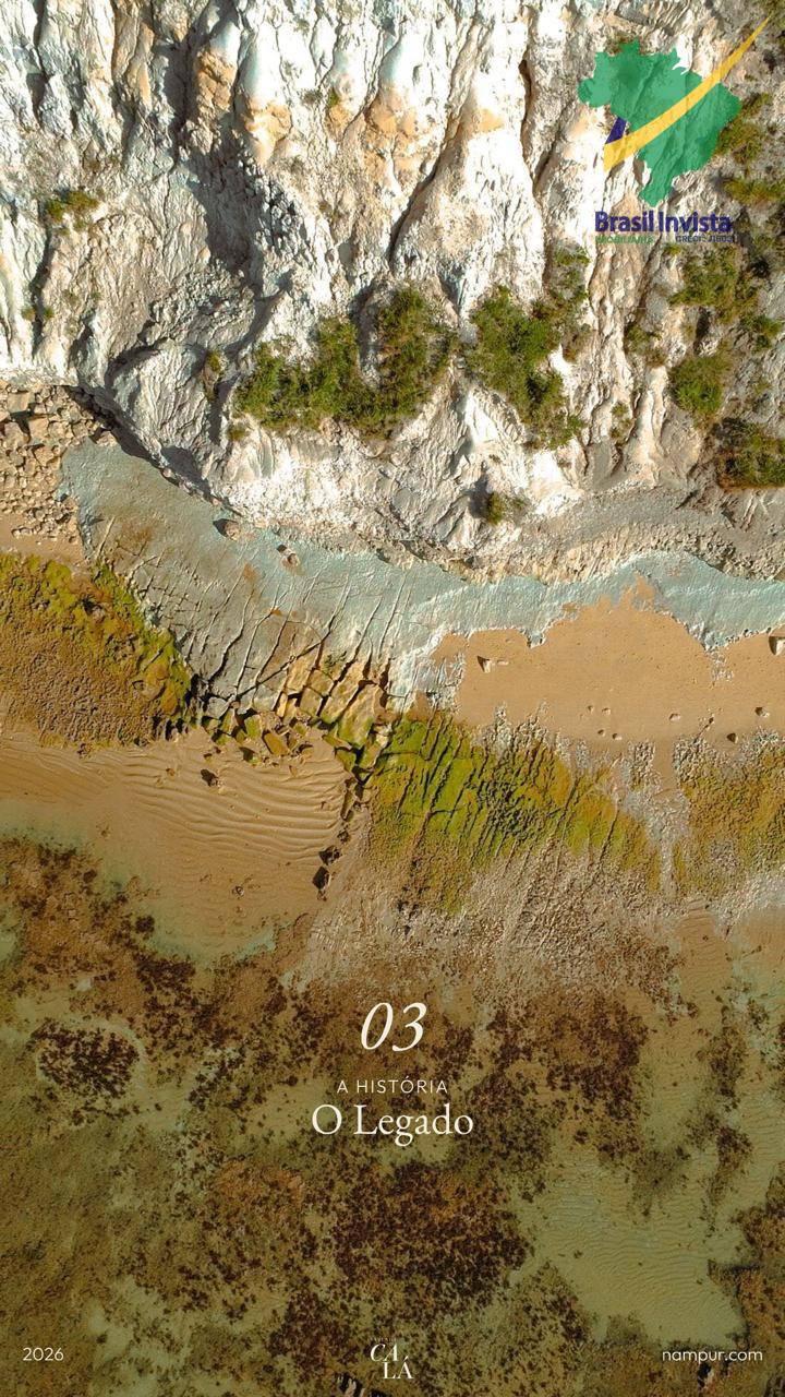 Terreno, 3119 m² - Foto 11